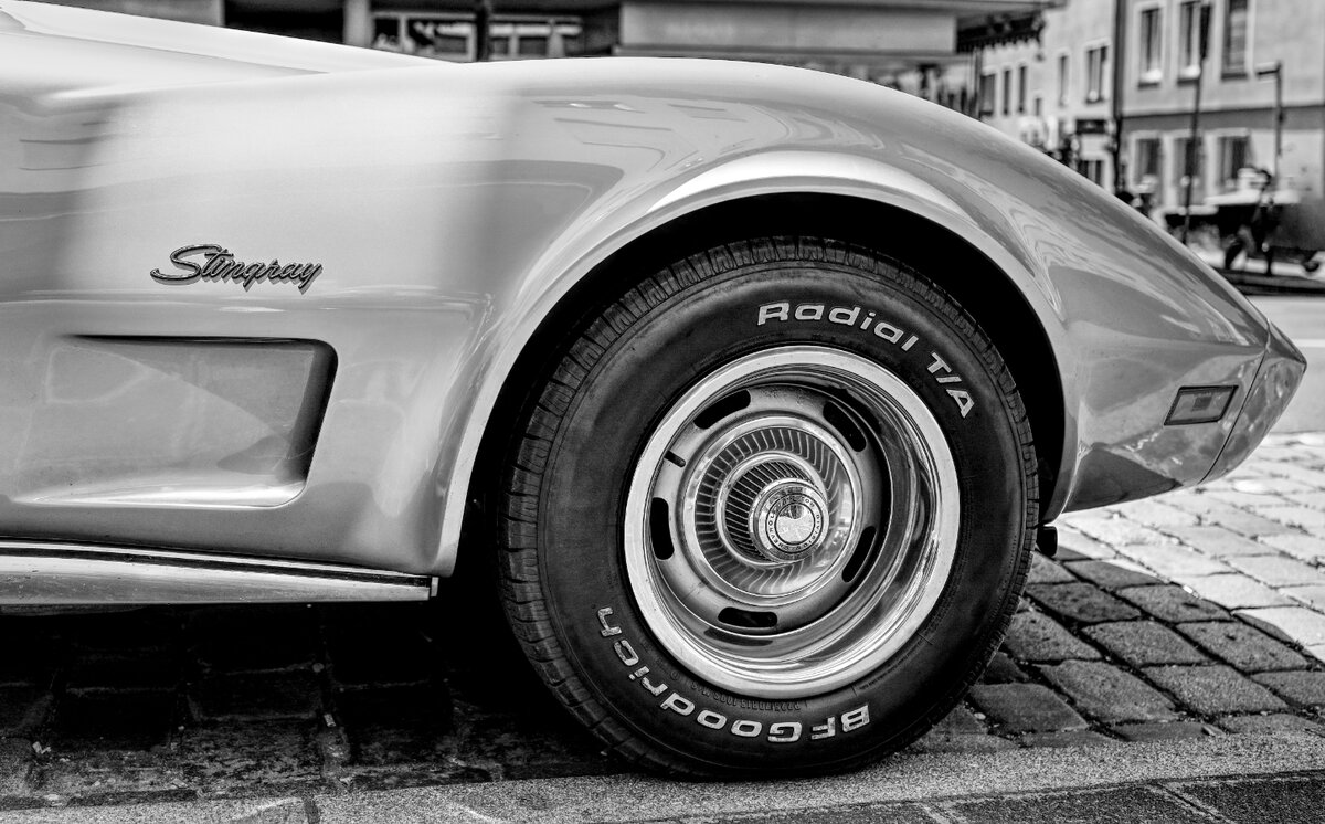 Stingray
