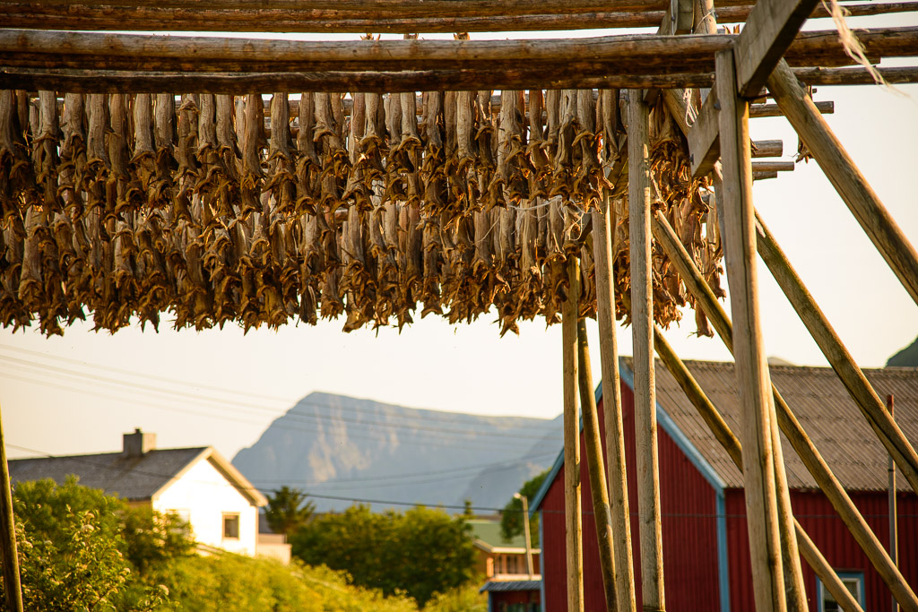 Stockfisch