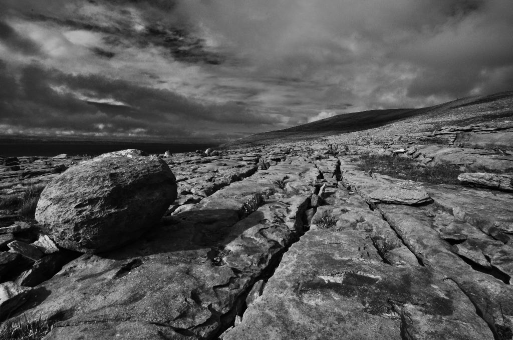 stone dead2 1