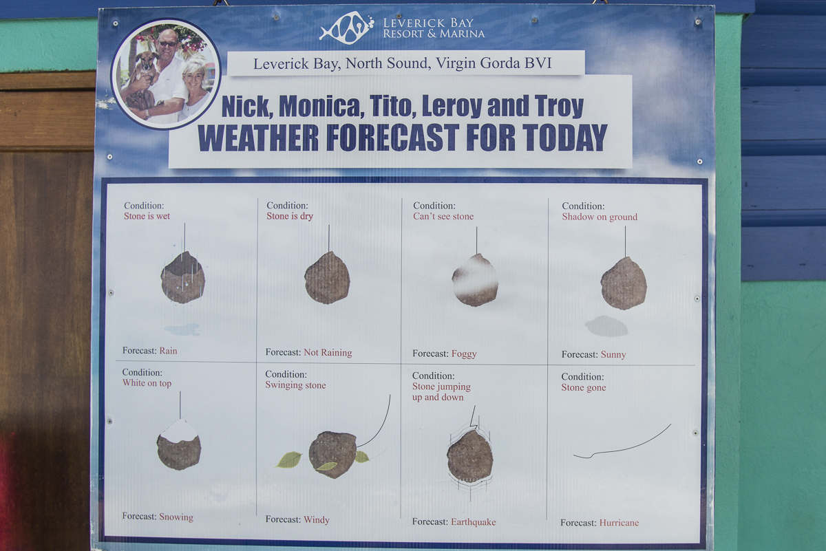 Stone forecast