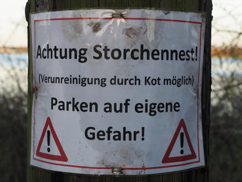 Storchennest.jpg