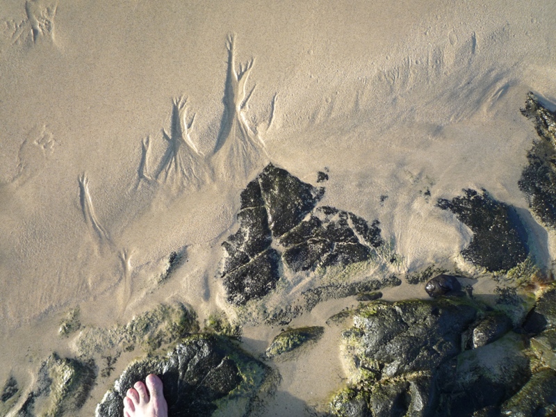 Strand 2