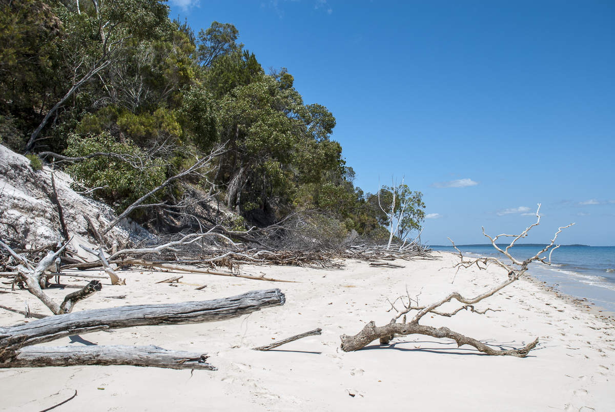 Strand Fraser Island.jpg