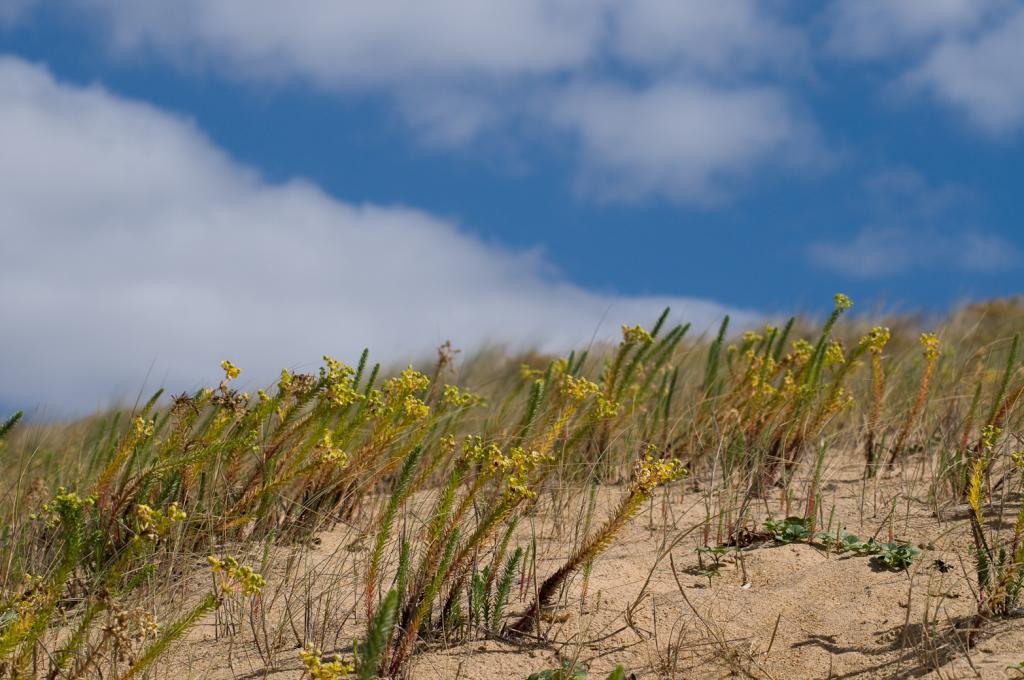 Strand in der Vendée