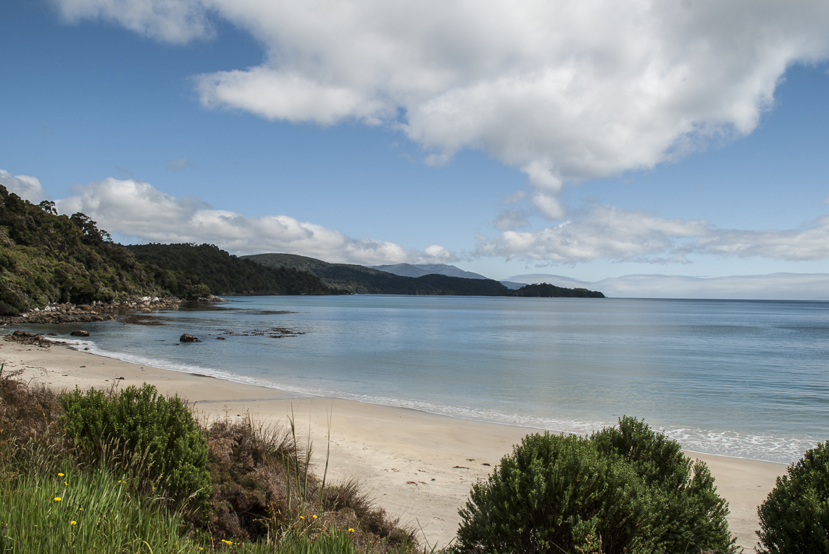 Strand Paterson Inlet.jpg
