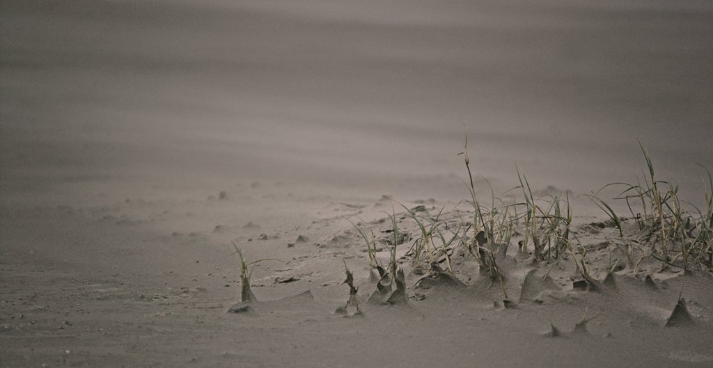 Strand SPO
