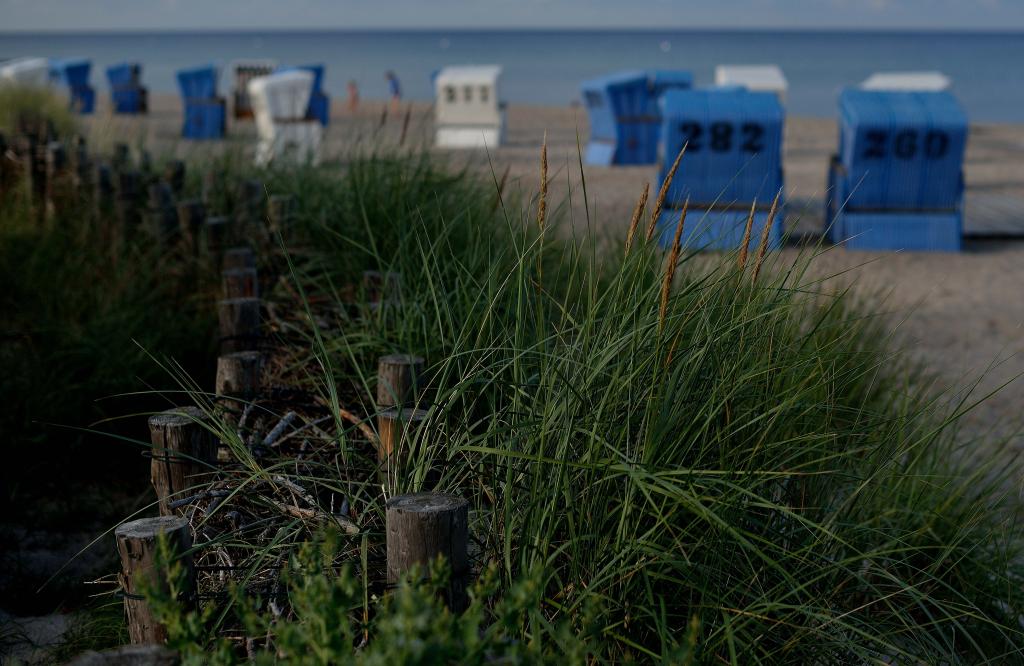 Strand von Damp