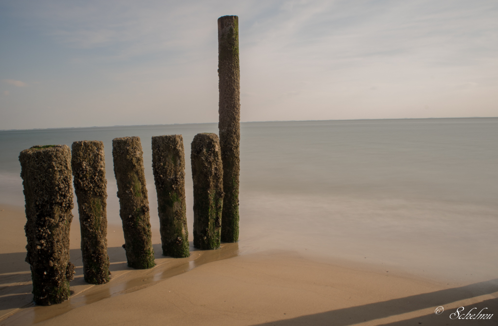 Strand von Zoutelande