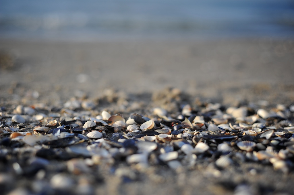 Strand