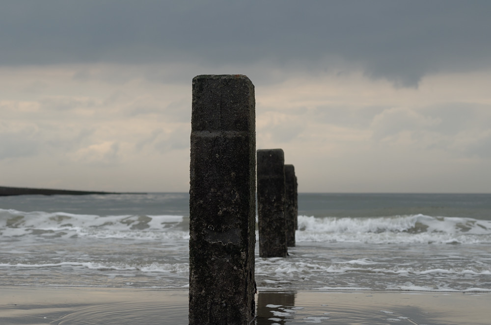 Strandgut 04