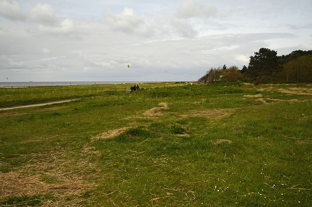 Strandgut am Sahlenburger Geestsporn 7001320x