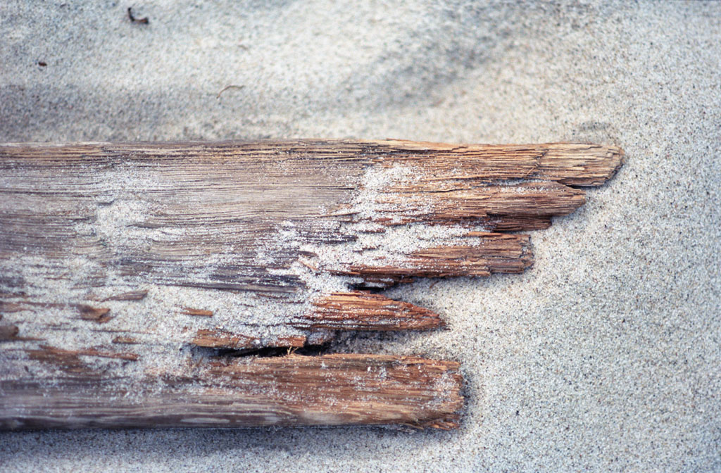 Strandgut