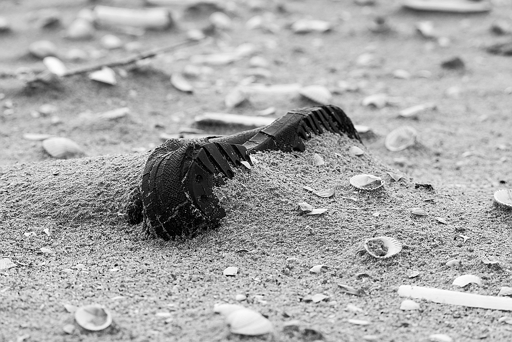 Strandgut