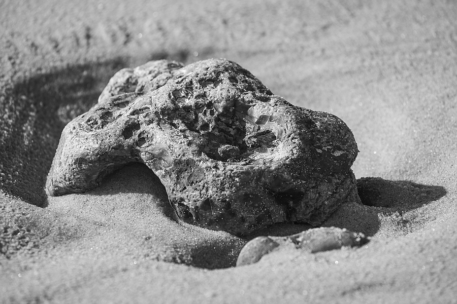 Strandgut