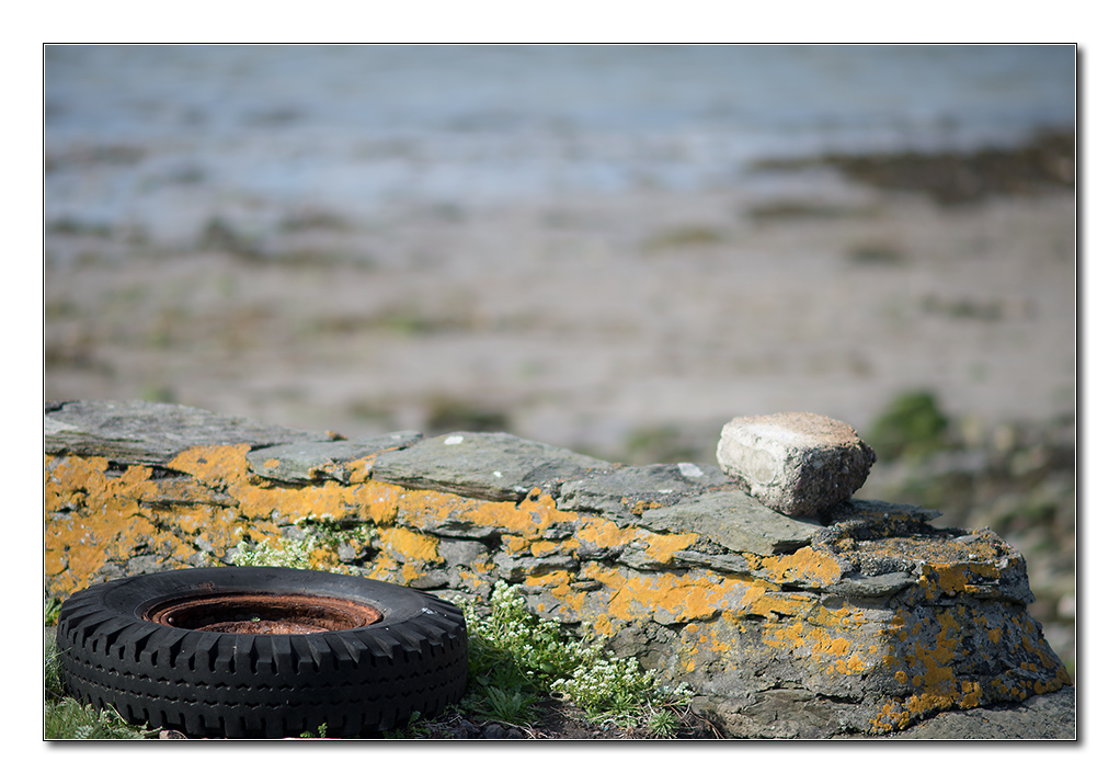 strandgut2