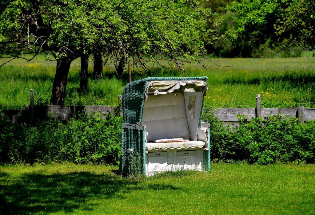 STRANDKORB NACH BAYERN VERPFLANZT