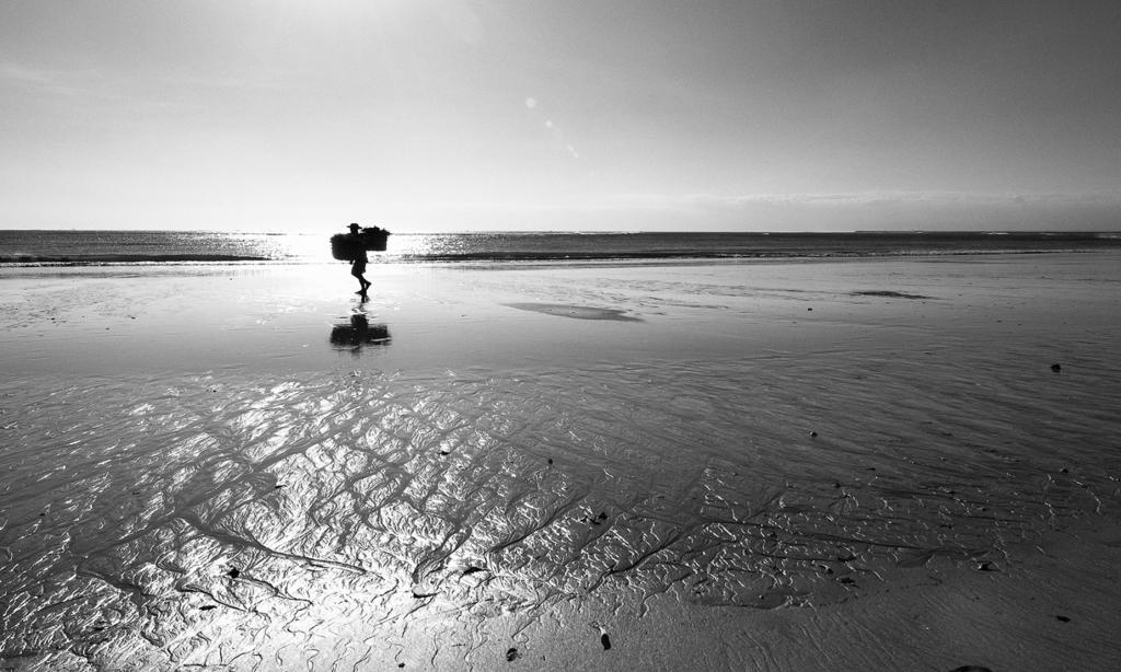 Strandläufer