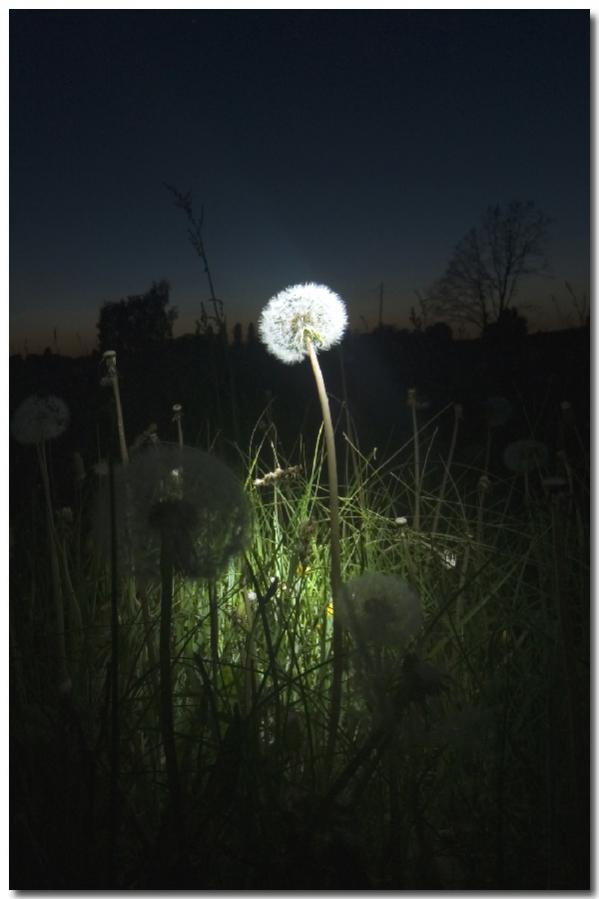 streetlight