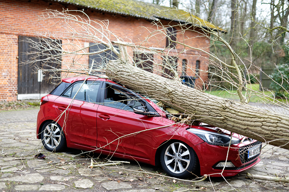 Sturm 09.02.2019.jpg