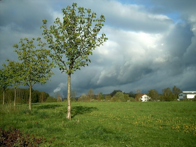 Sturm zieht auf