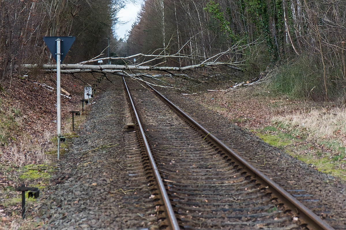 Sturmschaden Bahn (1 von 1).jpg