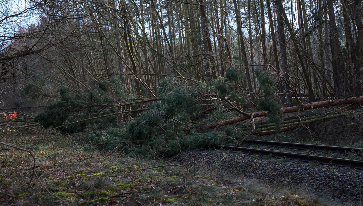 Sturmschaden Bahn 2 (1 von 1).jpg