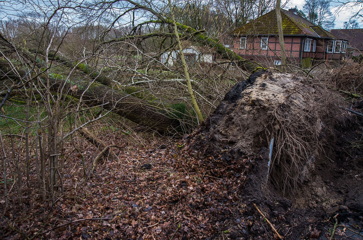 Sturmschaden Häcklingen (1 von 1).jpg