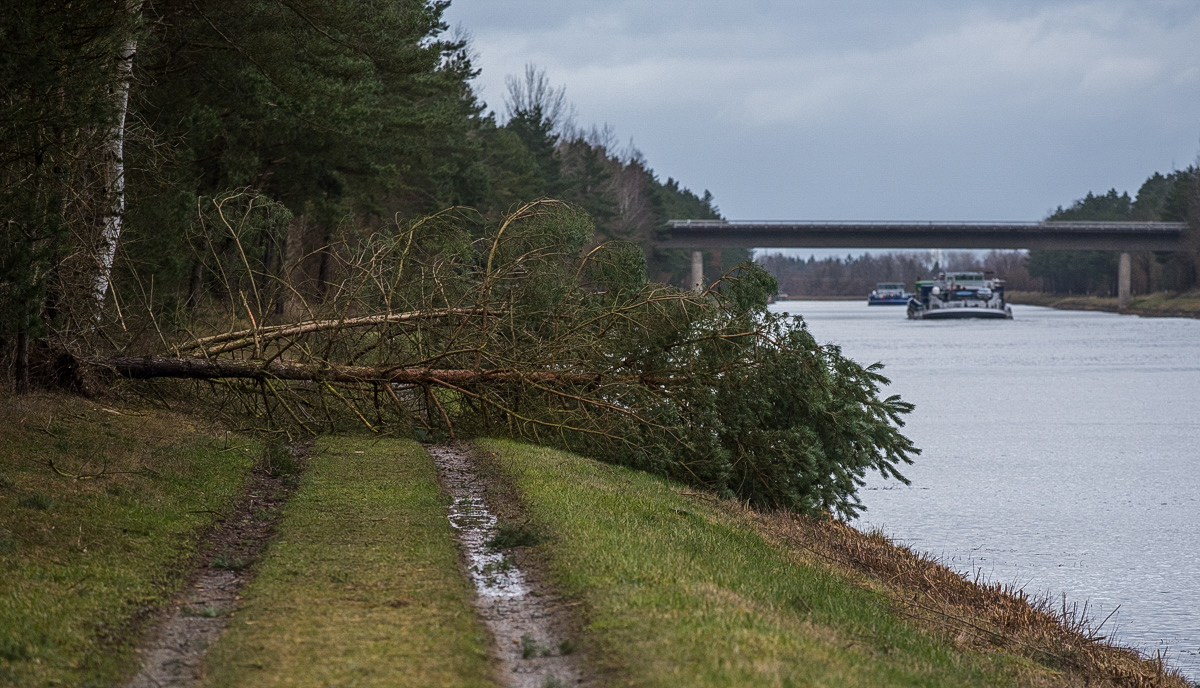 Sturmschaden Kanal (1 von 1).jpg