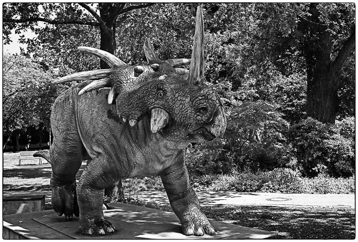 Styracosaurus_BW.jpg