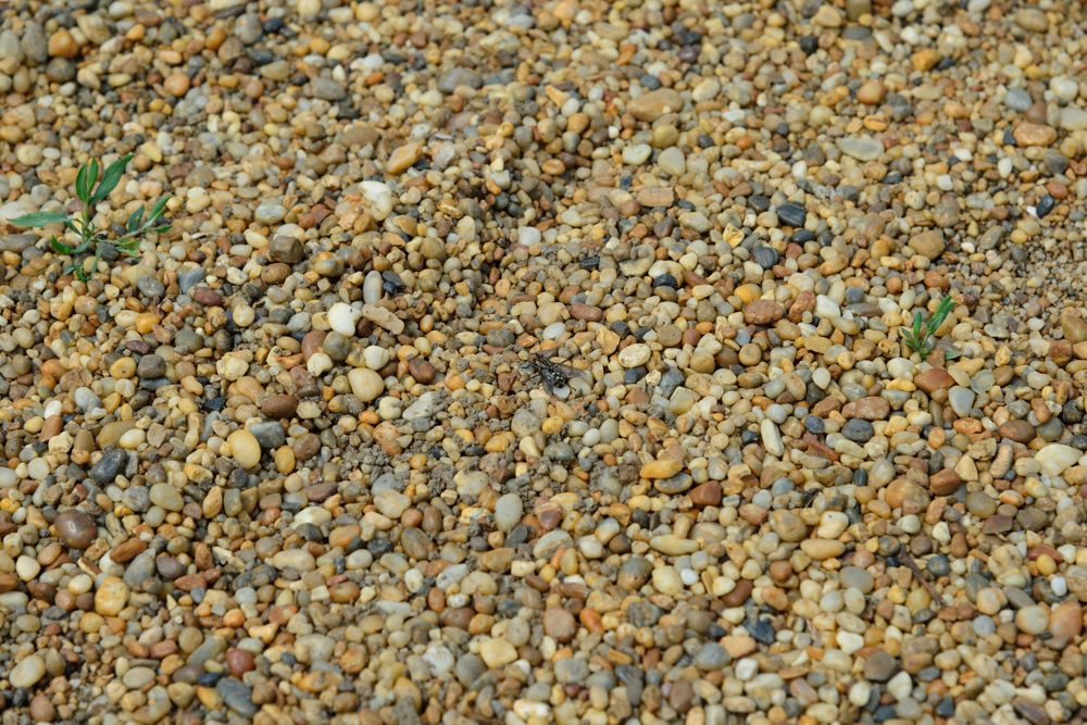 Suchbild