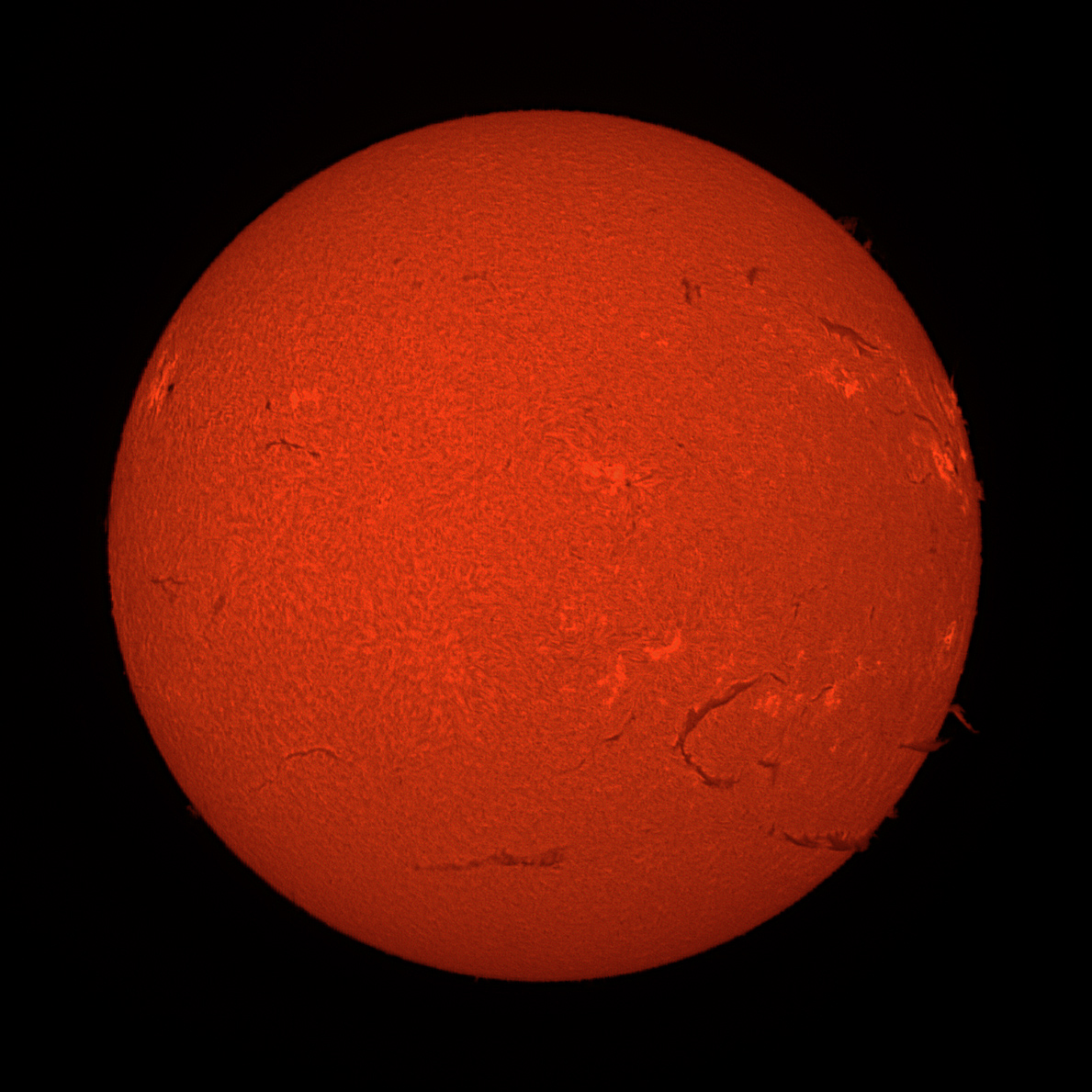 Sun-2025-01-13-s.jpg