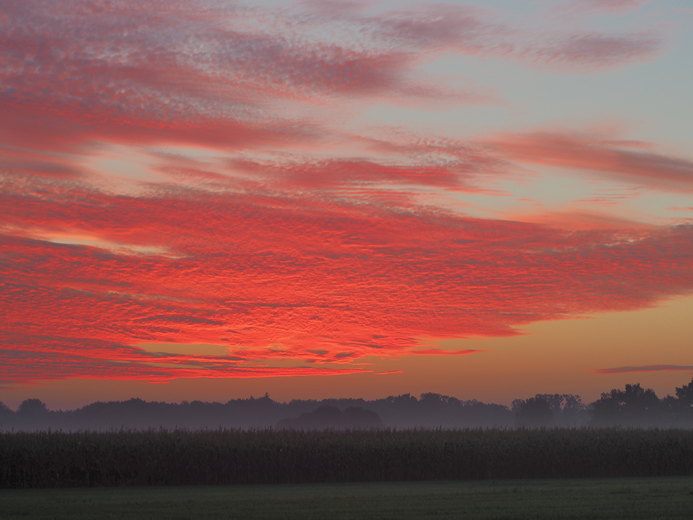 Sunrise Niederrhein  unbearbeitetPA030088