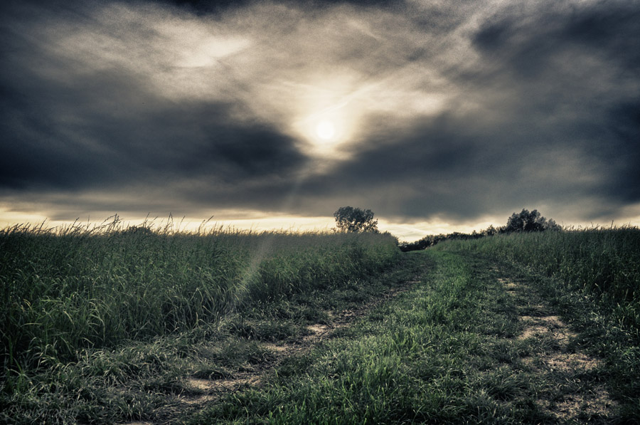 Sunset 1
