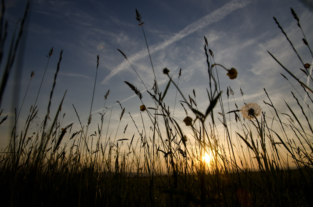 Sunset 2
