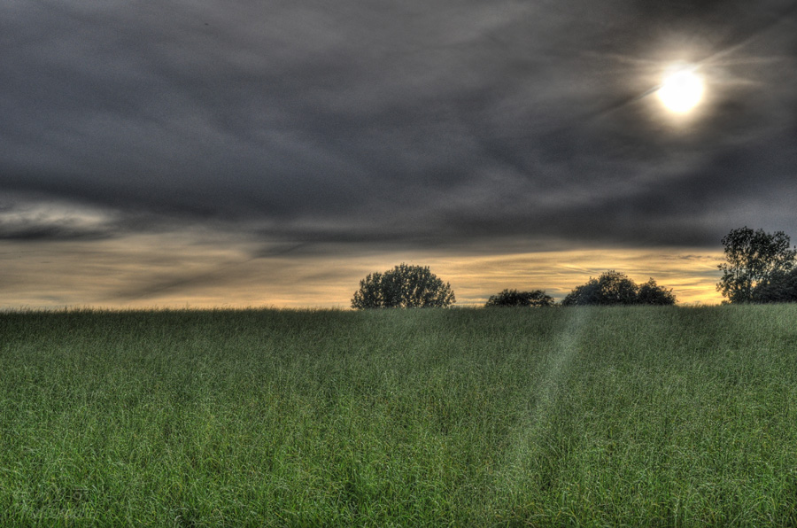 Sunset 3