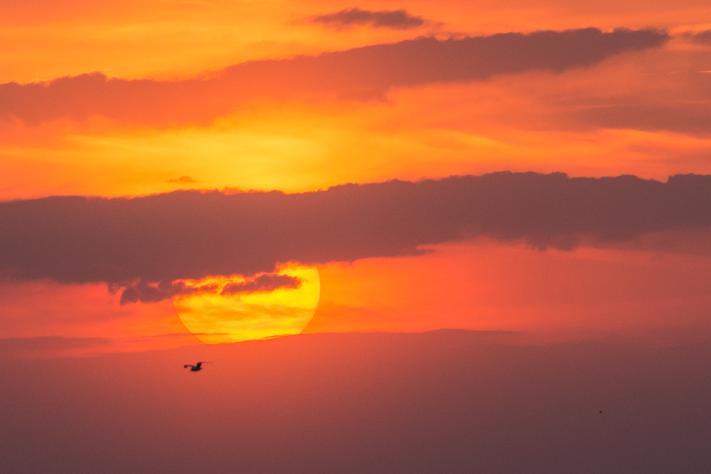 Sunset in Loddin