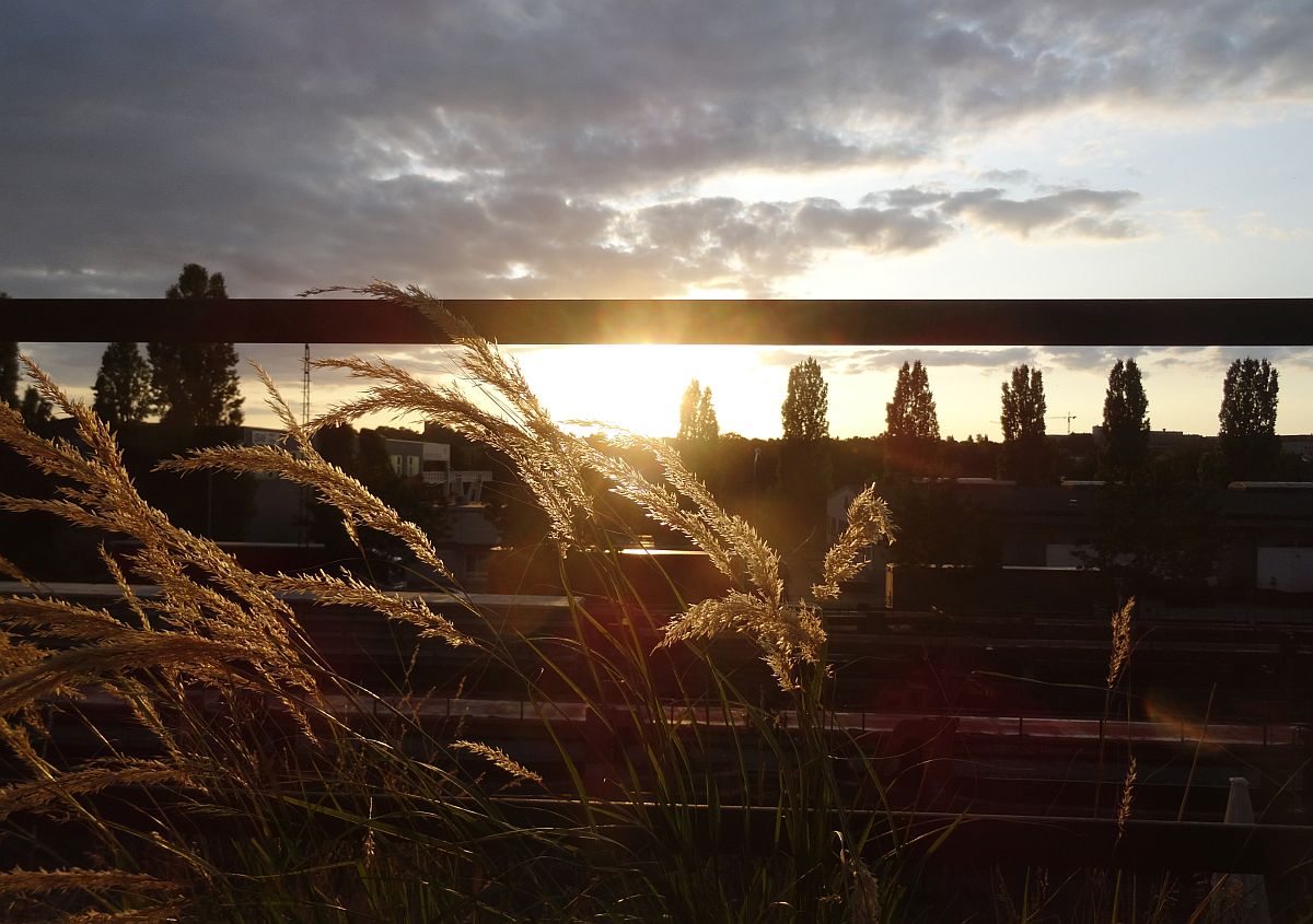 Sunset.jpg