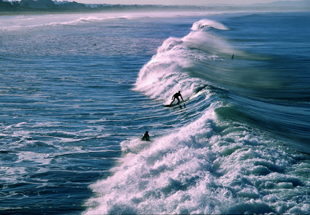 Surfer