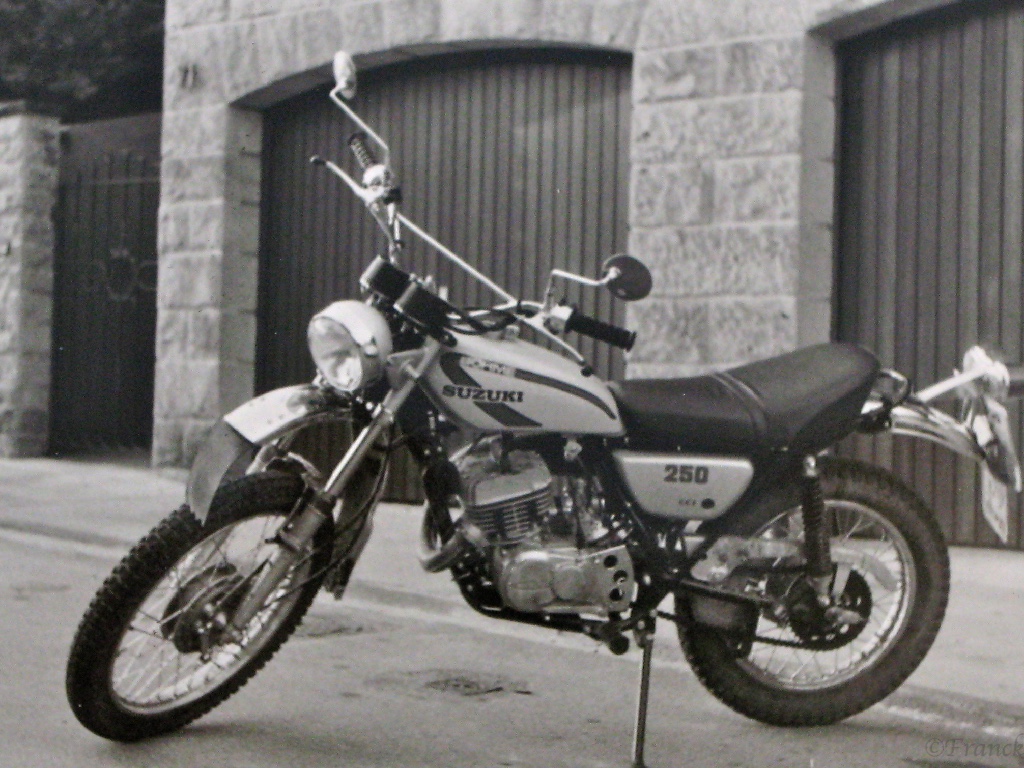 Suzuki TS 250   1