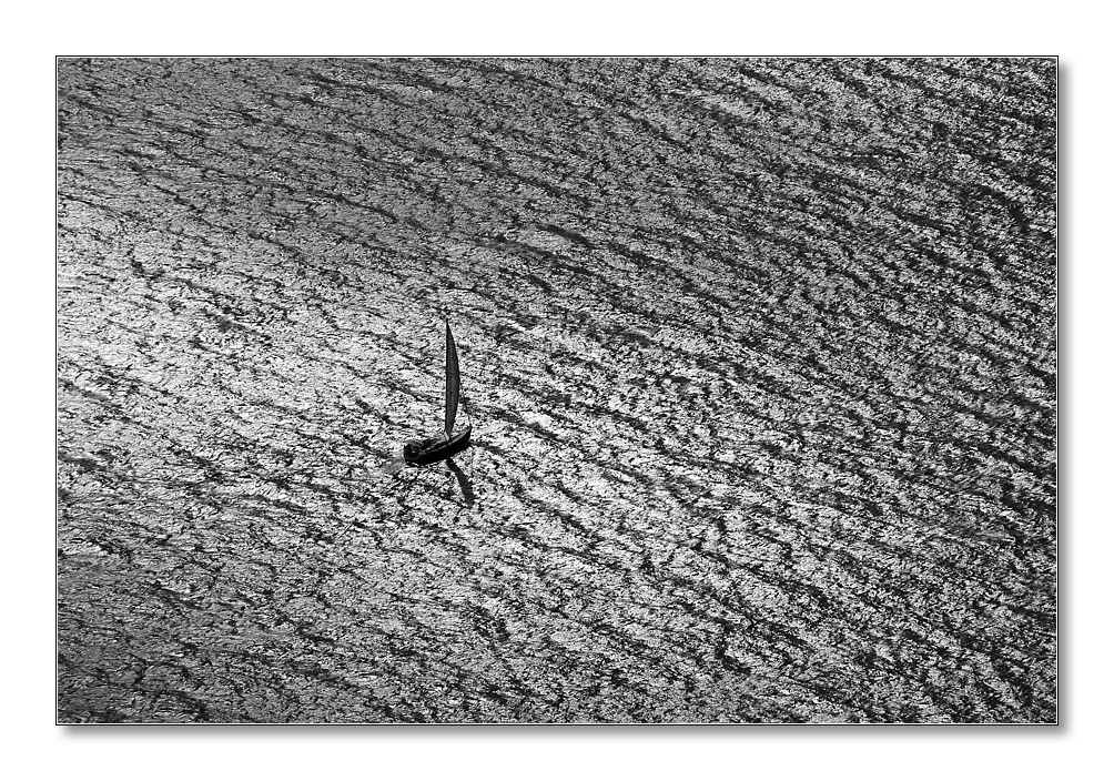 swDSCF0994sw