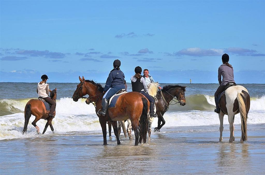 Sylt 15.06.11 (8)