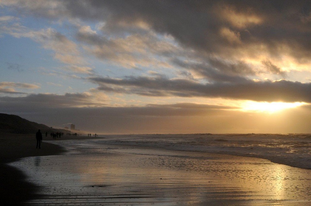 sylt Westerl