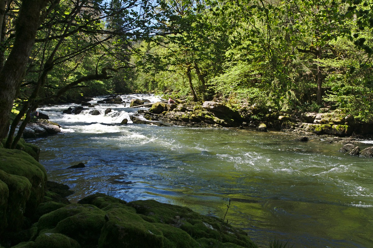 t d jura0599