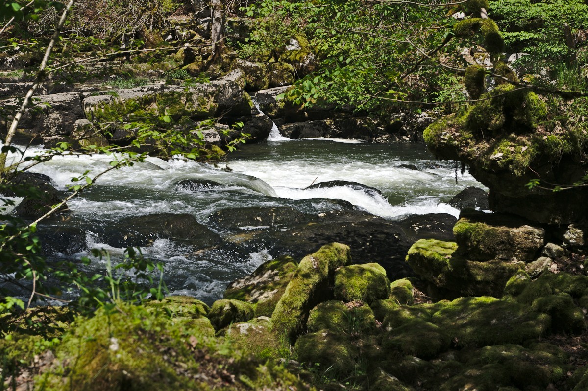 t d jura0608