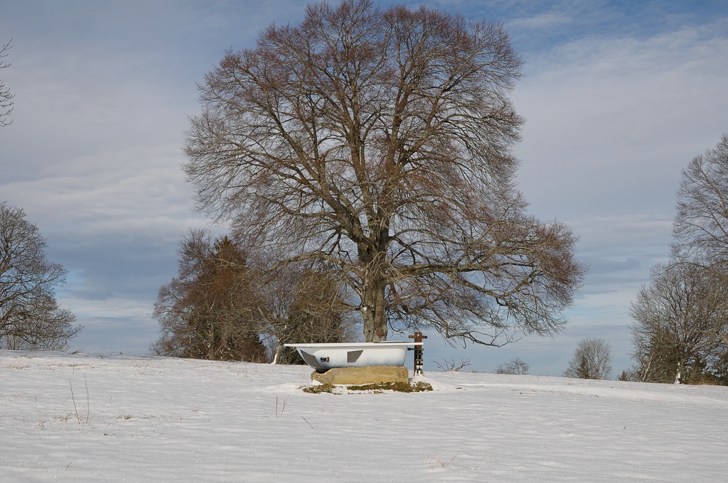 t jura 0084
