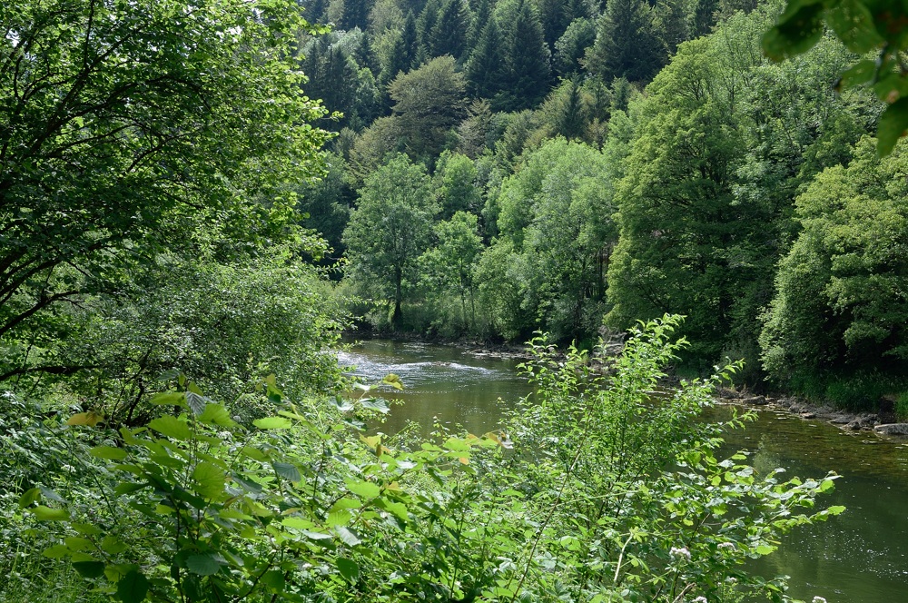 t jura 0273