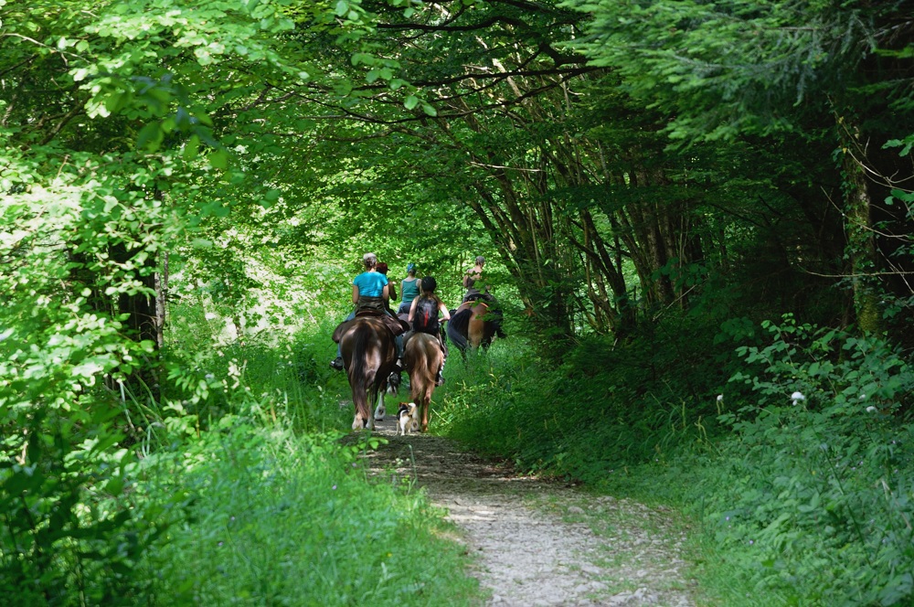 t jura 0276