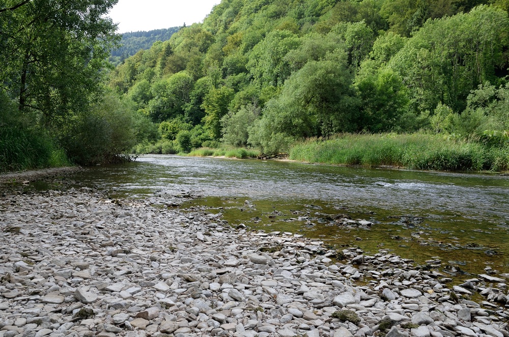 t jura 0282
