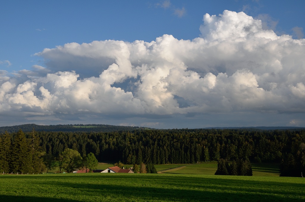 t jura 0354
