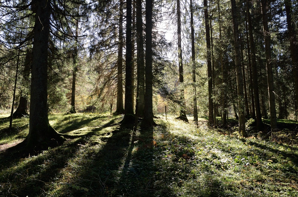 t jura 0388